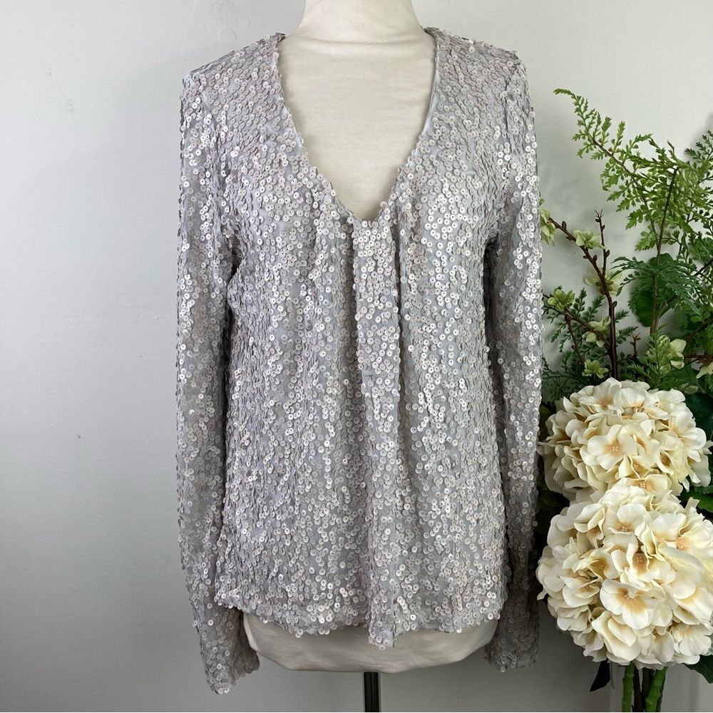 EVEREVE sequin blouse | silver | size medium | v neck | Allison joy